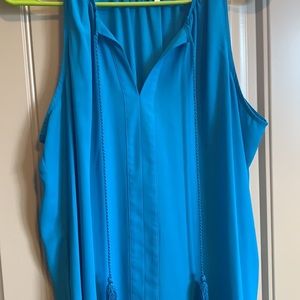 Woman’s sleeveless blue top size large.